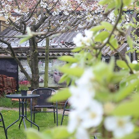하멜렌 Vakantiewoning De Oude Rijn B&B 외부 사진