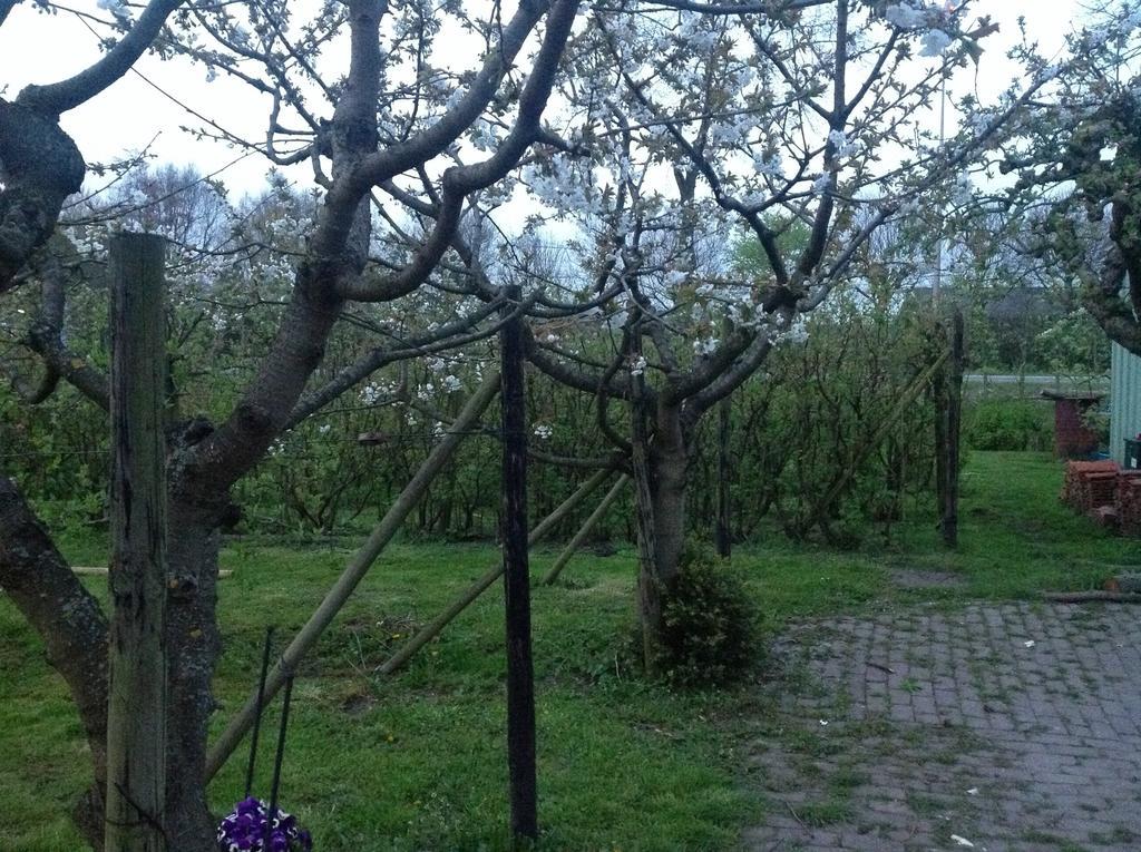 하멜렌 Vakantiewoning De Oude Rijn B&B 외부 사진